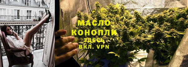 хмурый Кедровый