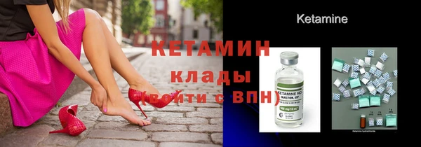 хмурый Кедровый