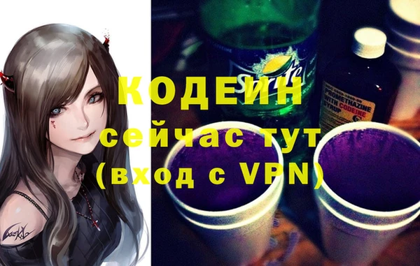 хмурый Кедровый