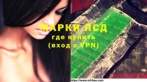 эйфоретик Магадан